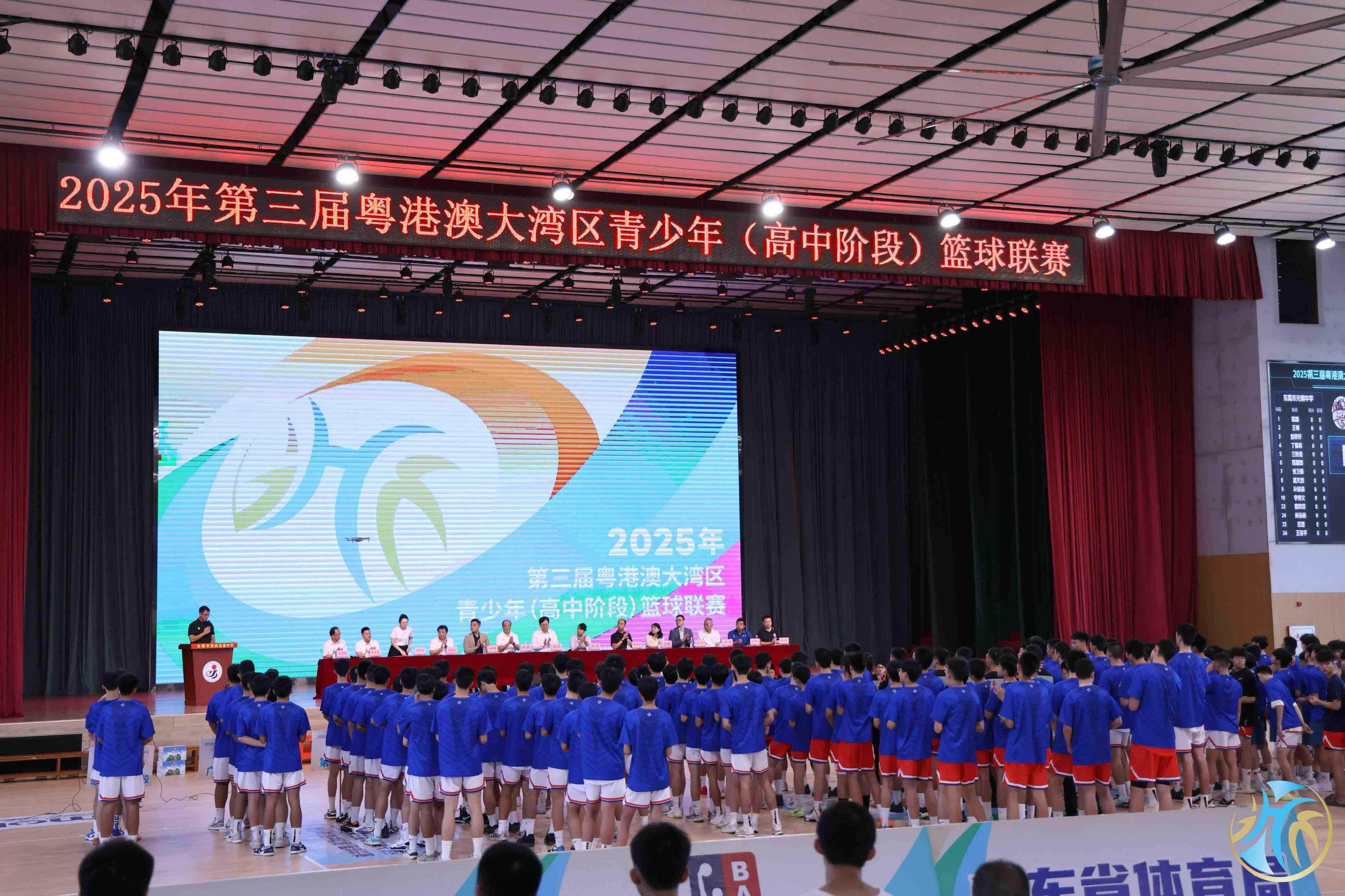 entit, 少年提供了